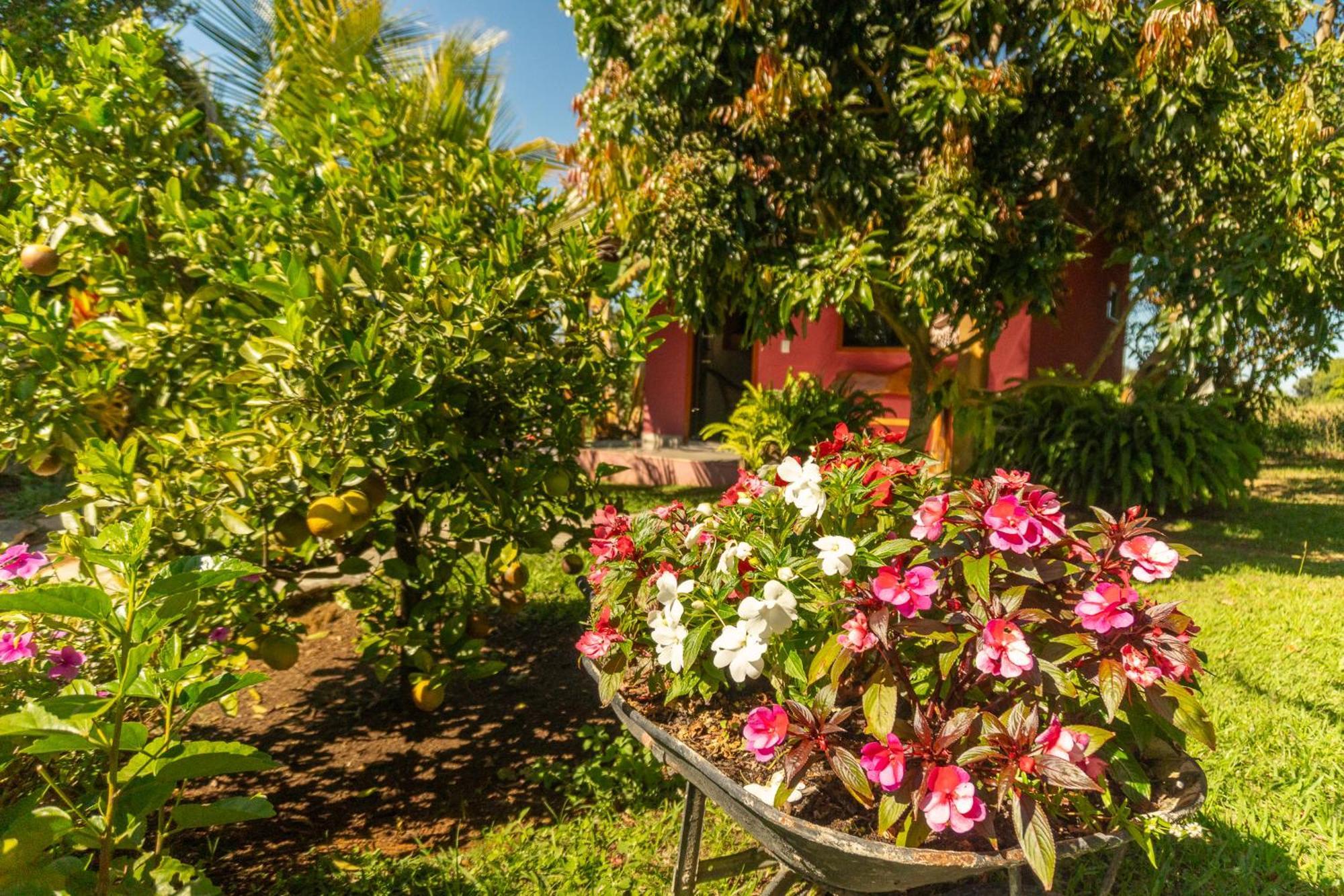 Vila Da Mata Chales Алту-Параизу-ди-Гояс Экстерьер фото